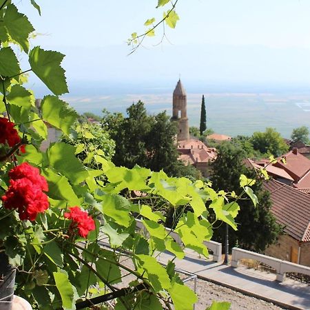 Tsitso & Soso Guesthouse Tsnoristskali Εξωτερικό φωτογραφία