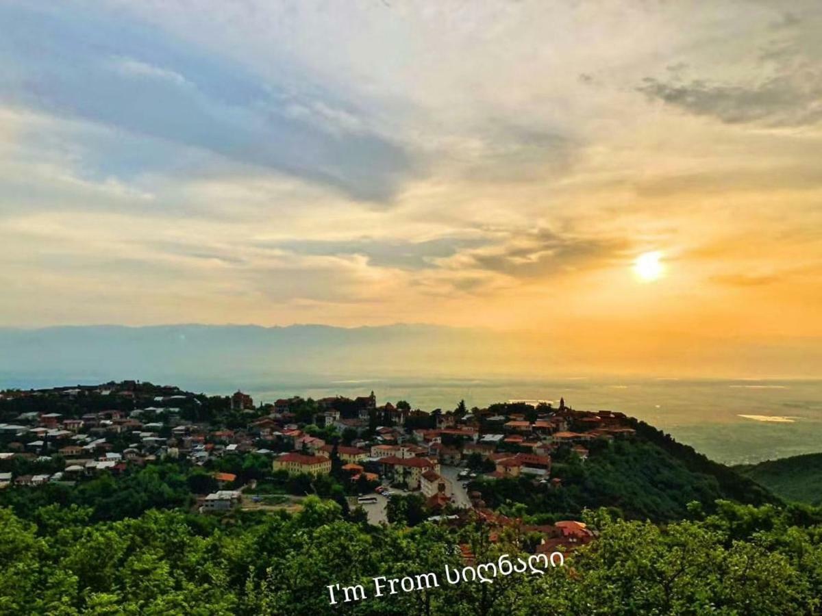 Tsitso & Soso Guesthouse Tsnoristskali Εξωτερικό φωτογραφία