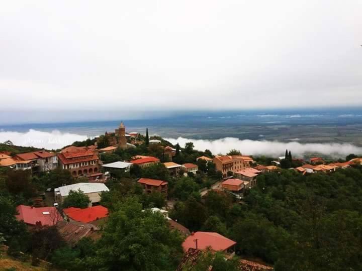 Tsitso & Soso Guesthouse Tsnoristskali Εξωτερικό φωτογραφία