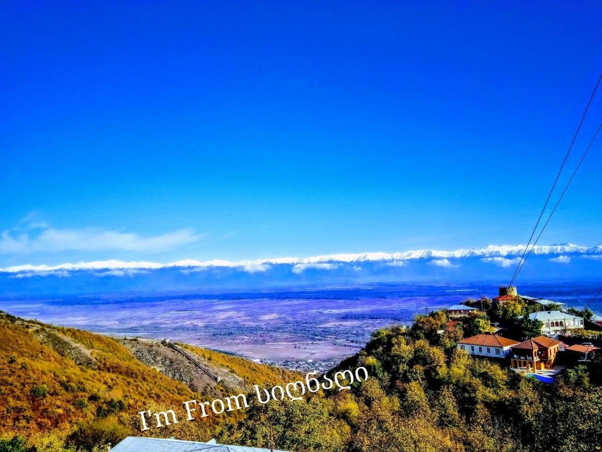 Tsitso & Soso Guesthouse Tsnoristskali Εξωτερικό φωτογραφία